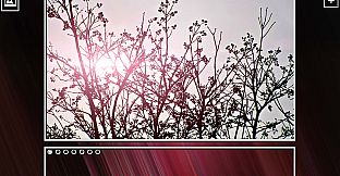 Super Jigsaw  Puzzle: Generations - Random Puzzles