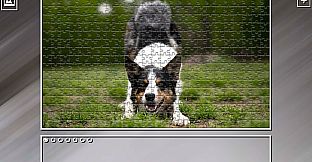 Super Jigsaw Puzzle: Generations - Dogs 2