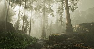 Black Powder Desolation