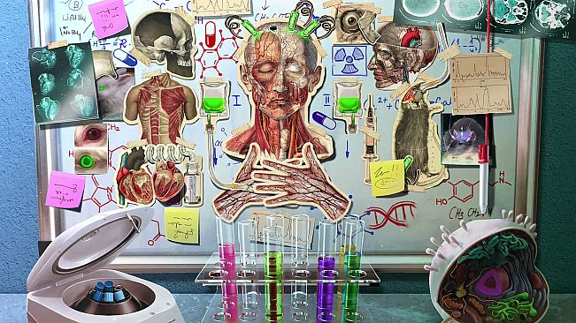 Family Mysteries Collection