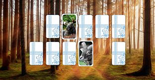 SANONTA - Finnish Proverb Game