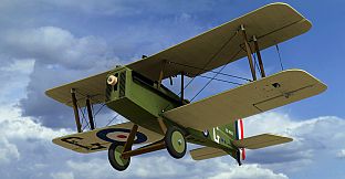 RealFlight Evolution - 2025 Year Content Pass