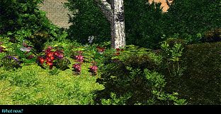 The Eye Of Borrack - Tangled Tales