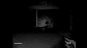 Witness of the Night