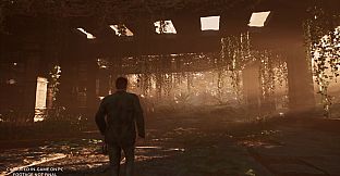 Cosmic Horizons: Path of the Wanderer