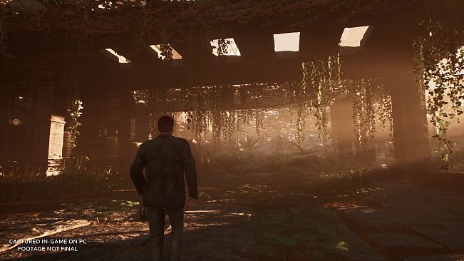 Cosmic Horizons: Path of the Wanderer