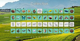 Look and Find - Curiosity