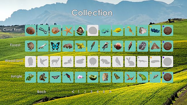 Look and Find - Curiosity