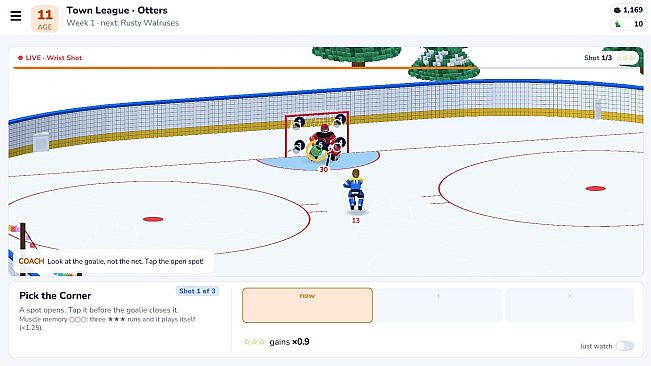 My Hockey Story