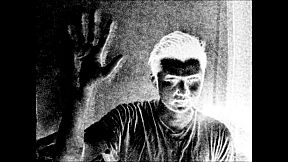 PHYSARUM: Slime Mold Simulator