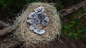 Forgotten Forest: Eye of the Great One