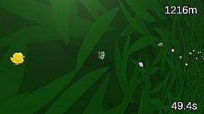 Catch a cat for 60 seconds