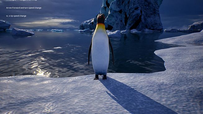 Life of a Penguin