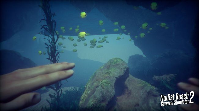 Nudist Beach Survival Simulator 2