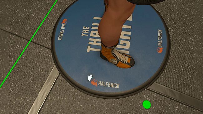 The Thrill Of The Fight 2 - Fitz Gym Original Shoes