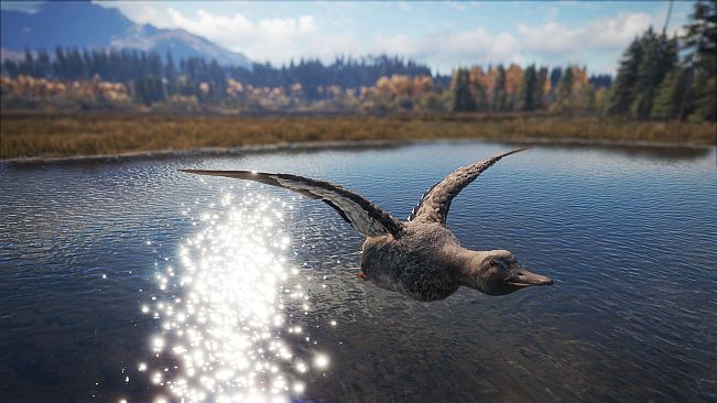theHunter: Call of the Wild - Duck and Cover Pack