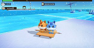 SKIDDDDDD: Tori's Frozen Racing