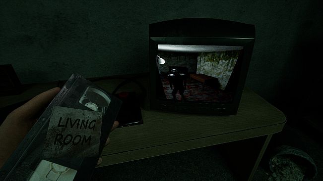 The Strange House