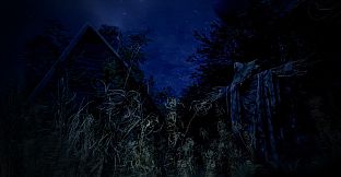 Untold Memories: Potter's Field