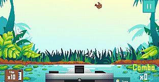 Duck Shoot