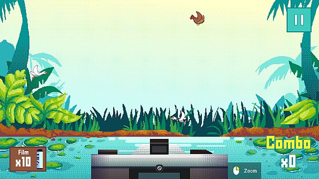 Duck Shoot