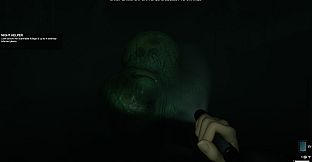 Eclipse Anomaly Research - Swamp of Insanity
