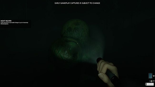 Eclipse Anomaly Research - Swamp of Insanity