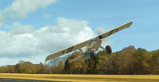 RealFlight Evolution - E-flite UMX Turbo Timber Evolution