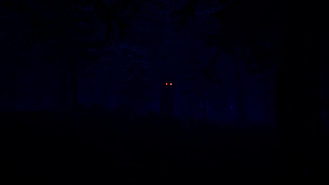 88 NIGHTS IN THE FOREST