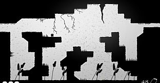 Shadows