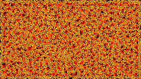 PHYSARUM: Slime Mold Simulator