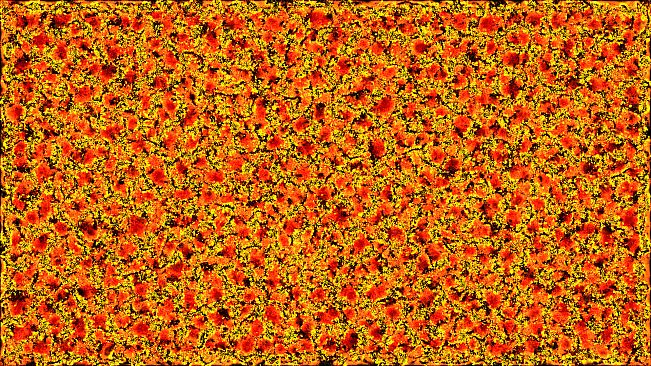 PHYSARUM: Slime Mold Simulator