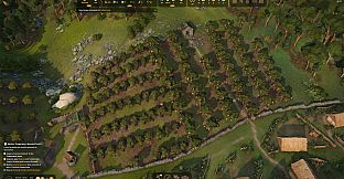 Foundation: Harvest Festival