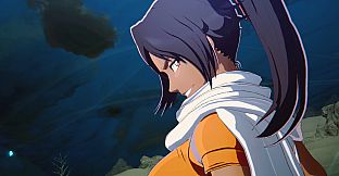 BLEACH Rebirth of Souls - Thousand-Year Blood War Toshiro Hitsugaya & Yoruichi Shihoin Costume Set