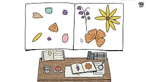 Fly to Butterfly Valley