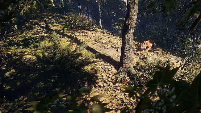 theHunter: Call of the Wild - Sundarpatan Nepal Hunting Reserve