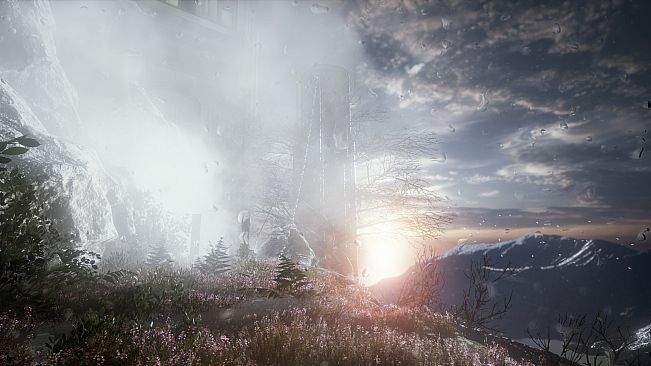 The Butterfly Sign: Human Error