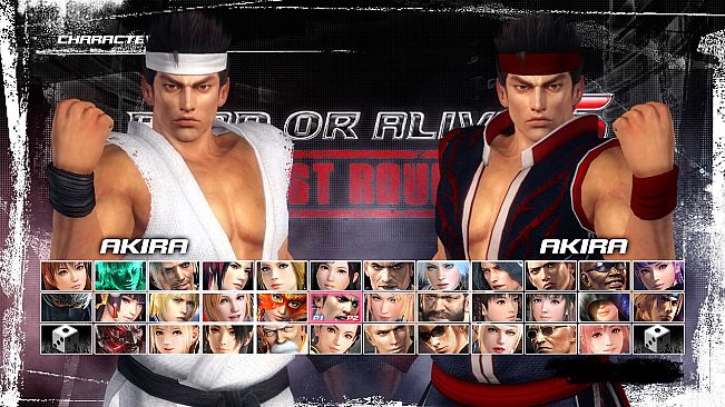 DEAD OR ALIVE 5 Last Round: Core Fighters Character: Akira