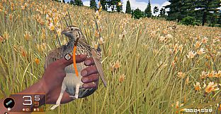 Birds Hunter