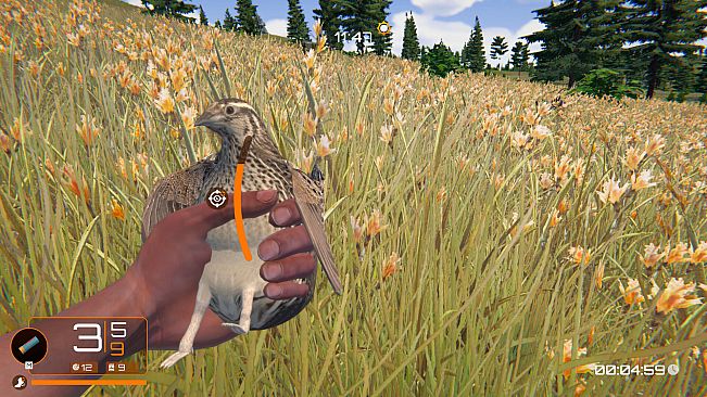 Birds Hunter