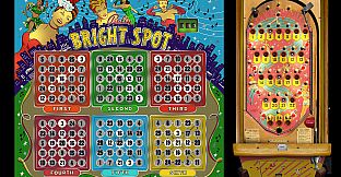 Bingo Pinball Gameroom - Bally Bright Spot