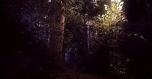 The House In The Hollow