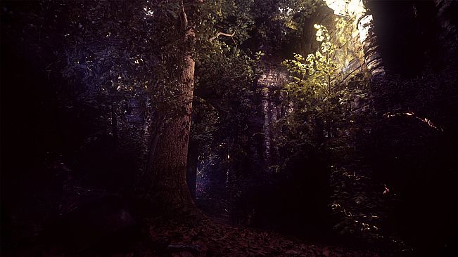 The House In The Hollow