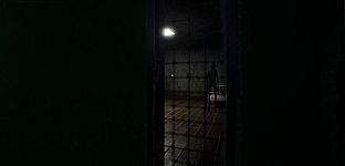 Paraplasm: Beyond the Veil