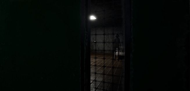 Paraplasm: Beyond the Veil