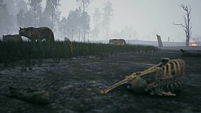 FIRE The First Dreamer