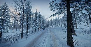 DiRT Rally 2.0 - Sweden (Rally Location)