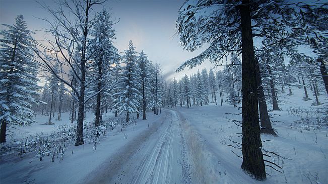 DiRT Rally 2.0 - Sweden (Rally Location)