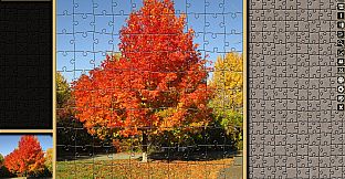 Pixel Puzzles Traditional Jigsaws Pack: Autumn
