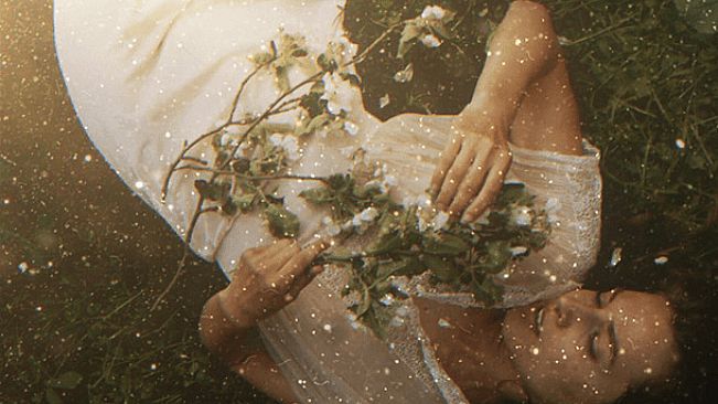 Movavi Video Editor 2024 - Timeless Pack